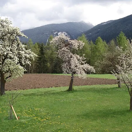 Simon - Hauserhof